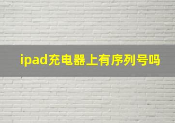 ipad充电器上有序列号吗