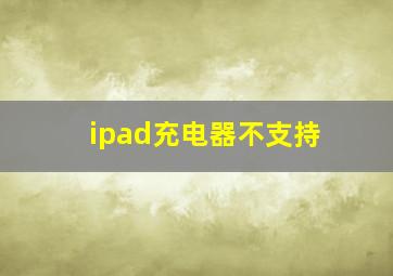 ipad充电器不支持