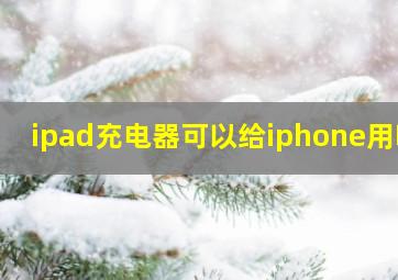 ipad充电器可以给iphone用吗