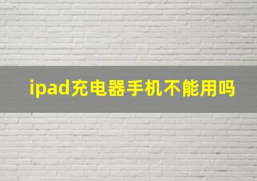 ipad充电器手机不能用吗