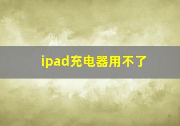 ipad充电器用不了