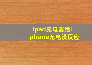 ipad充电器给iphone充电没反应