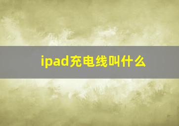 ipad充电线叫什么