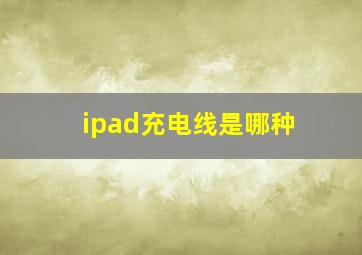 ipad充电线是哪种