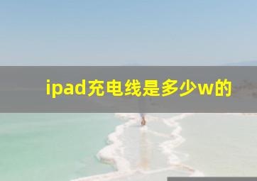 ipad充电线是多少w的