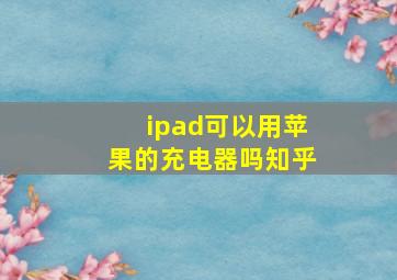 ipad可以用苹果的充电器吗知乎