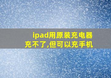 ipad用原装充电器充不了,但可以充手机