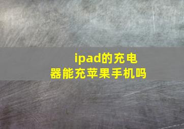 ipad的充电器能充苹果手机吗