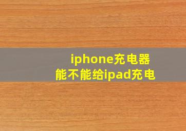 iphone充电器能不能给ipad充电