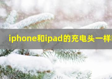 iphone和ipad的充电头一样吗