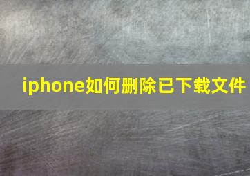 iphone如何删除已下载文件