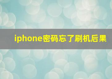 iphone密码忘了刷机后果