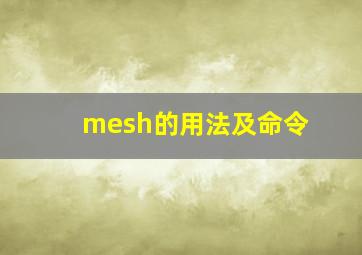 mesh的用法及命令