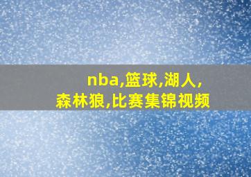 nba,篮球,湖人,森林狼,比赛集锦视频