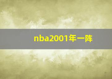 nba2001年一阵