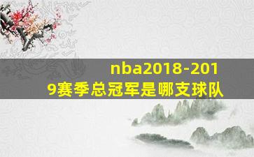 nba2018-2019赛季总冠军是哪支球队