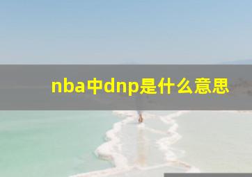 nba中dnp是什么意思