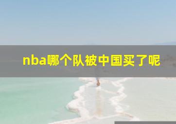 nba哪个队被中国买了呢