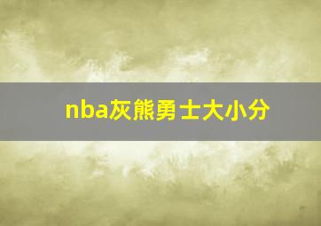 nba灰熊勇士大小分