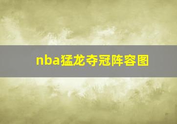 nba猛龙夺冠阵容图