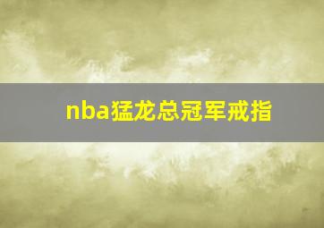 nba猛龙总冠军戒指