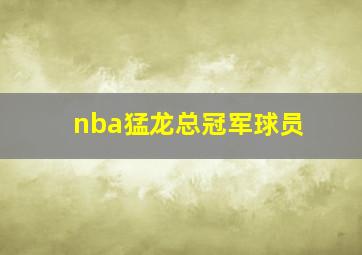 nba猛龙总冠军球员