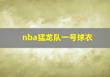 nba猛龙队一号球衣