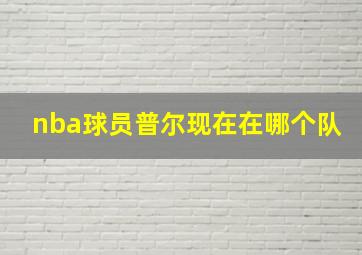 nba球员普尔现在在哪个队