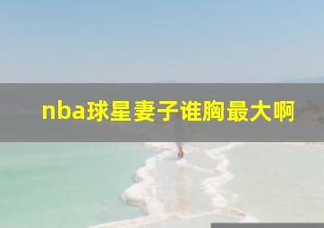 nba球星妻子谁胸最大啊