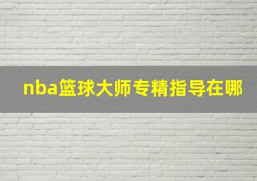 nba篮球大师专精指导在哪