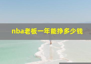 nba老板一年能挣多少钱