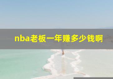 nba老板一年赚多少钱啊