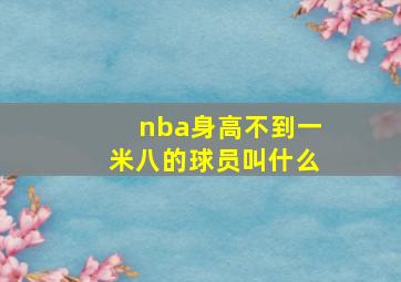 nba身高不到一米八的球员叫什么