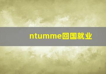 ntumme回国就业