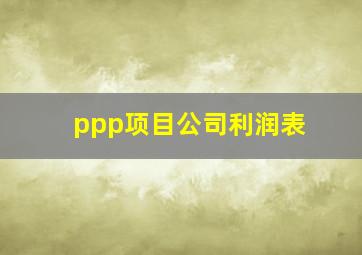 ppp项目公司利润表