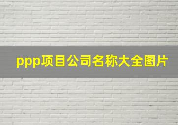 ppp项目公司名称大全图片