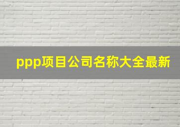 ppp项目公司名称大全最新