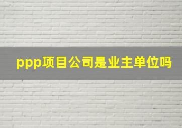 ppp项目公司是业主单位吗