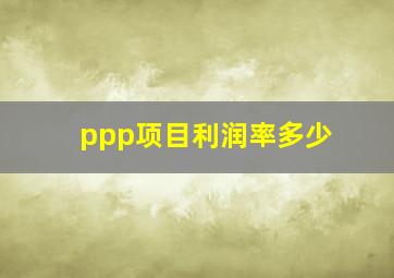 ppp项目利润率多少