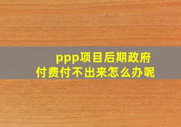 ppp项目后期政府付费付不出来怎么办呢