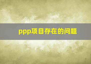 ppp项目存在的问题