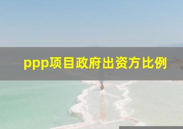 ppp项目政府出资方比例