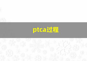 ptca过程