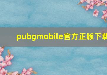 pubgmobile官方正版下载