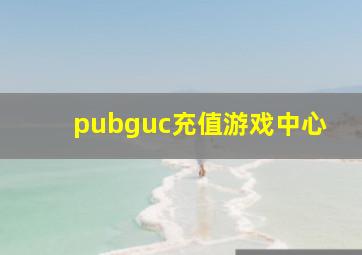 pubguc充值游戏中心