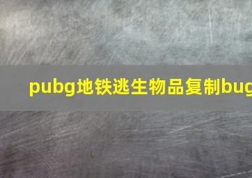 pubg地铁逃生物品复制bug