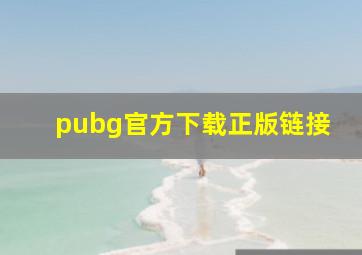 pubg官方下载正版链接