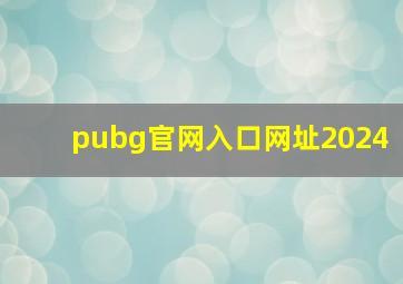 pubg官网入口网址2024