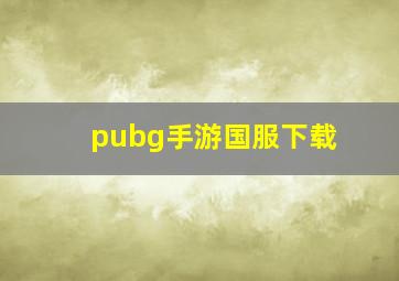 pubg手游国服下载