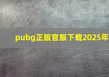 pubg正版官服下载2025年